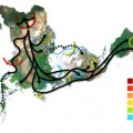 Dymaxion, un mapa para entender las migraciones humanas