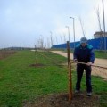 Detenido un hombre que arrancó 84 árboles recién plantados en un parque de Vitoria-Gasteiz