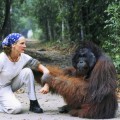 ¿Puede un orangután violar a una mujer?