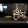 Un nuevo robot caminante bate records de velocidad