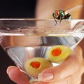 Experimento demuestra que la falta de sexo provoca que las moscas consuman más alcohol para estimularse