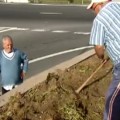 Un hombre mayor convierte una rotonda de Las Palmas en un huerto público y reparte la cosecha entre los vecinos