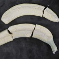 ¿A qué temperatura hay que enfriar un plátano para poder utilizarlo como martillo?
