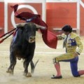 El Concello de A Coruña (PP) retira la ayuda a los toros y solo habrá feria si se autofinancia