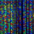 Científicos anuncian AXN, la creación de ADN sintético