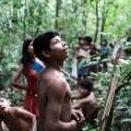 "Nos están asesinando": la tribu más amenazada del mundo implora ayuda (Eng)