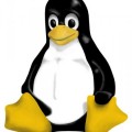 Linux, el triunfo silencioso