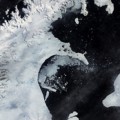 La fusión del hielo antártico libera bacterias atrapadas durante cerca de un millón de años