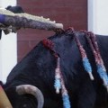 Polémica en Valladolid por la subvención de 180.000 euros a los festejos taurinos de San Pedro Regalado