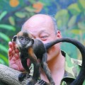 Abnegado Zhang, el cuidador que lamió 1 hora las nalgas de un mono para hacerlo defecar