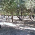 Un pueblo de Valencia impone el copago de jardines, cobra 1 euro a los mayores de 10 años por entrar al parque municipal