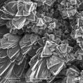 Se patenta un nuevo material que absorbe CO₂