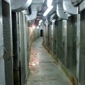 Las fotos de "El Guantánamo animal" de los sótanos del zoo de Barcelona