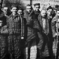 Prisionero 119.104 de Auschwitz. El hombre que encontró sentido