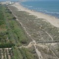 El alcalde de Gandía construirá un megachiringuito en la playa virgen de l'Ahuir en cuanto se modifique la ley de Costas