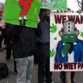 Holanda: las nuevas regulaciones del cannabis no están funcionando