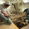 Localizan en Atapuerca ocho nuevos individuos dentro del sepulcro de El Mirador