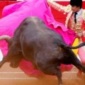 Polémica por los toros en RTVE: el Consejo Asesor de Cataluña pide desconectar la señal