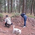 Una excavadora destruye una mámoa de 6.000 años de antigüedad en Galicia