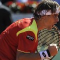 Ferrer lleva a España a la final de la Davis 2012