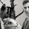El día que David Attenborough encaró a los caníbales