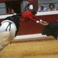 Una de cada tres quejas que recibe TVE se debe a la emisión de toros