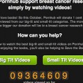 Web porno dona dinero a la investigación contra el cáncer de mama por ver vídeos de tetas
