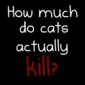 The Oatmeal: ¿Cuánto matan los gatos? [ENG]