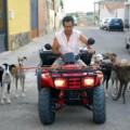 Andalucía ultima la legalización de los entrenamientos de galgos atados a motos