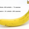 Diferencias nutricionales entre un plátano verde y uno maduro