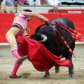 Madrid destina otros 250.000 euros al “apoyo y fomento” de las corridas de toros