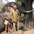 Botsuana prohíbe cazar elefantes