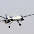 Drones de Google patrullarán la sabana en busca de furtivos
