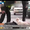 Perro protege a su dueño desmayado en la calle