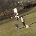 Un águila agarra niño en un parque de Montreal y levanta el vuelo