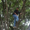 Un indio lleva 9 meses subido a un árbol esperando a que su mujer se disculpe por haberle sido infiel