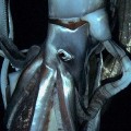 Primeras imágenes del calamar gigante en las profundidades del mar captadas por la cadena NHK y Discovery Channel