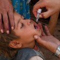 Virus, vacunas y talibanes