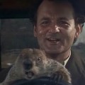 ¿Cuántos días revivió Bill Murray el Día de la marmota? [Eng]