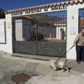 Perrera de Torremolinos maltrata y extermina animales y la directora se gasta los donativos en viajes