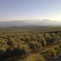 El fracking amenaza el olivar de Jaén