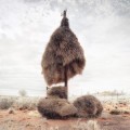 Las increíbles estructuras del desierto del Kalahari construidas por el pájaro tejedor