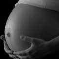 Los fetos empiezan a descifrar el habla a los siete meses de gestación