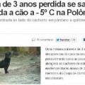 Niña de tres años expuesta a temperaturas de -5°C sobrevive abrazada a su perro en Polonia