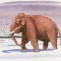 ¿Qué diferencias hay entre un mamut y un mastodonte?