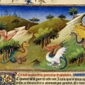 Exploraciones y viajes fabulosos durante la Edad Media