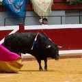 Donostia dice adiós a los toros