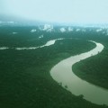 Ecuador pone a subasta más de 3 MILLONES de hectáreas de selva amazónica a empresas petrolíferas chinas