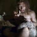 Hallan restos óseos de un posible híbrido de Neandertal y Homo Sapiens (ING)