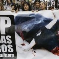 Condenan a un aficionado taurino por insultar y patear a un activista animalista